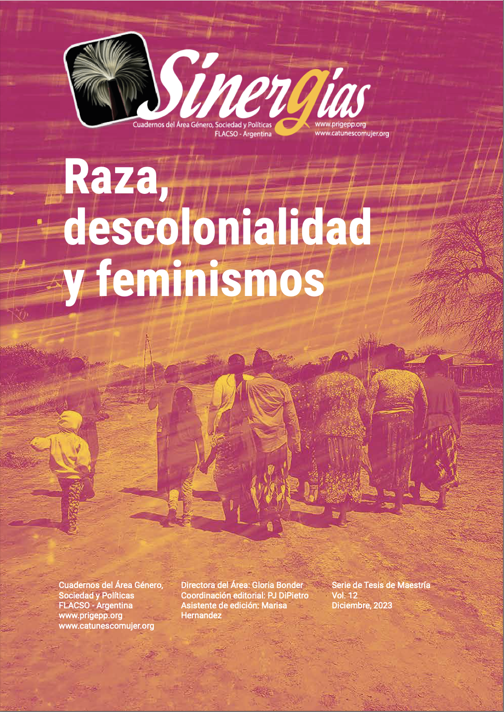 Sinergias Vol.12